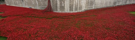 Should the Tower of Poppies stay or go?